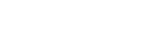 Dress for Success Logo